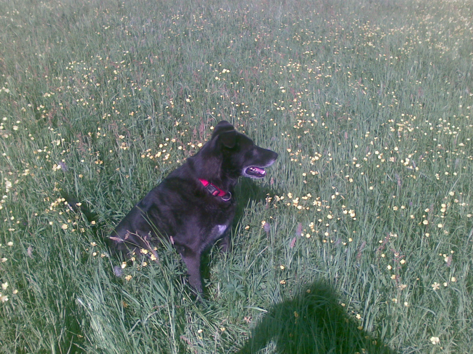 1 Gestatten, Luis.jpg (1600 x 1200)